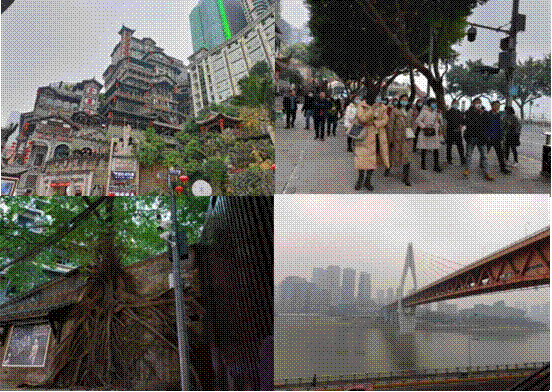 图片4